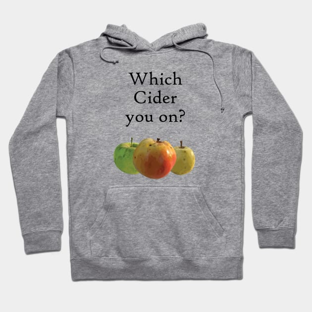 Which Cider You On? Hoodie by Gone Designs